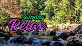 Deep relaxation Water Sounds | Calm Your Mind and Meditate,Relaxing,soft music 3