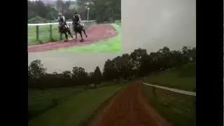 Rock Temple and Lonnero Using Jockey Cam at Cobbitty Lodge 27th February 2013