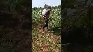 Castor farm work..