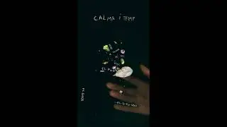 Cap 3 / CALMA I TEMPS FT GEGE
