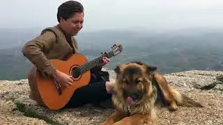 M&agrave;n tr&igrave;nh diễn guitar Flamenco b&agrave;i Holy Diver #guitar #solo #trendingshorts #trending