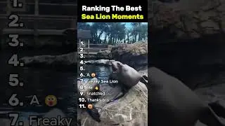 Ranking The Funniest Sea Lion Moments  #ranking #funny #animalvideos #sealions #moments #reaction