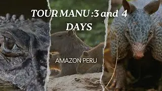 TRAVEL AMAZON PERU -MANU JUNGLE TRIPS.