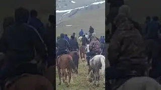 Жамбай көкпар 21.11.22