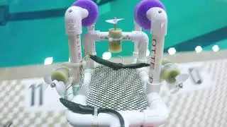 Auburn Middle Schools C.T.E. Underwater ROV Finals
