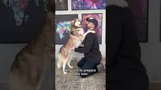 OS FILHOTES CRESCEM R&Aacute;PIDO DEMAIS!
