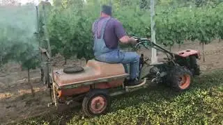 Goldoni 10 KS - prskanje vinograda