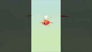 2km Egg Hatch On Pokemon Go