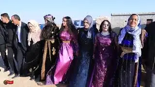 ٢٩ فبراير ٢٠٢٤