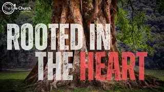 The Soil of the Heart (The Parable of the Sower) | Sermon by Chris Eke | The Life Church Maidstone
