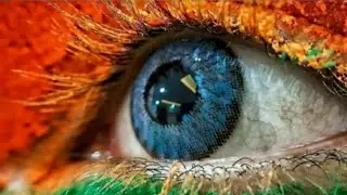 15 August Status Video | independence day status video | 15 August Status 2021 Video