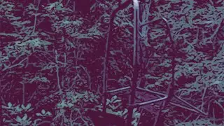 Bendigo Fletcher - Strange Encounters (Official Visualizer)