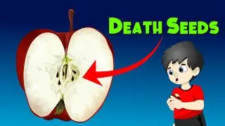 What happens, when someone accidentally ate apple seeds?