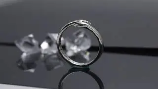 Silver Hug Ring for Girl | Hug Ring for Boy | Hug Rings For Couple| 92.5 Silver Hallmark Ring