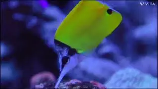 Going fishing meme.Funny bass fishing memes.Funny fishing meme GIFaGirl fishing memes.#fish