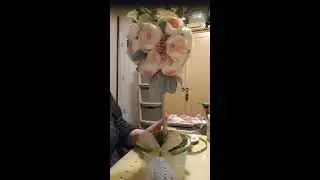 Aneida birds of a feather topiary creation VID 20200206 002335
