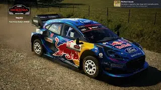 EA Sports WRC - Perfect Score Achievement, Complete a regularity rally stage with 0 penalty points