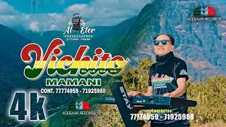 VICHITO MAMANI  - COMPAÑERITA 2025 (ACEGAAR records 4K)