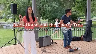 KT Tunstall - Black Horse and the Cherry Tree (Cover)
