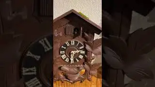 Old Cuckoo Clock Cuckoos the Wrong Number of Times