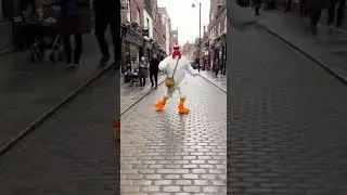 Man dressed as a chicken running down the street.