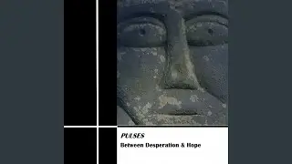 Between Desperation & Hope