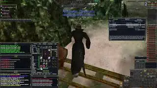Tutorial Zone Speedrun: 40 Minutes | EVERQUEST