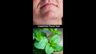 This Tea Reduce Excess Testosterone in Women 🌿 Unwanted facial hair & hormonal balance