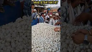 chhipabarod mandi ka lahsun ka bhav। Aaj ka lahsun ka bhav। #Garlic #lahsunkabhav #garlicratetoday
