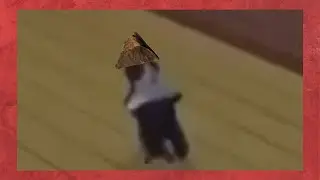 Battledancer Swashbuckler Be Like || Pathfinder 2E