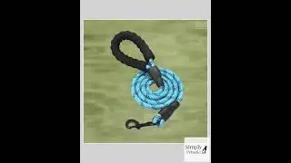 5' Braided Nylon Leash: Durable & Reflective for Dogs Goat Horse Cat Duck Clip Slide Shiny Night ...