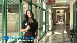 Take a Tour of the Nevada Humane Society.