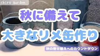 秋に備えて！大きなリメ缶作り【秋の寄せ植えへのカウントダウン】