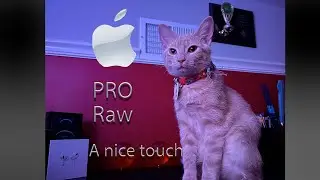 Apple Pro Raw Walkthrough