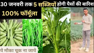 5सब्जियों की खेती से दोगुना फायदा।। जबरदस्त मुनाफा ।। शुरू से आखरी तक पूरी जानकारी।। 💵🤑👆