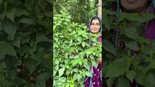 Cm natural bio product 