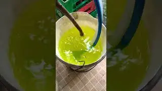 Mastering Hydroponic pH Levels: Boost Plant Growth with Secrets Revealed! | Ceylon Paradise Farm