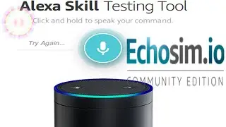 Amazon's Echo Simulator 