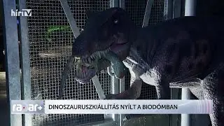 Radar - Dinokiállítás a Biodómban - HÍR TV+