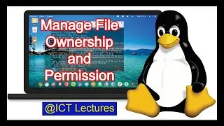 How To Manage File Ownership and Permissions in Ubuntu Server