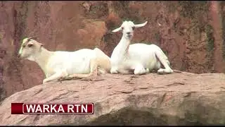 RTN TV: Taariikhda Degmada Buurhakaba iyo Dadka Nool