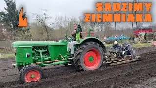#VLOG /Sadzenie ziemniak&oacute;w na Ogr&oacute;dku/Deutz D5505/Mieciu/Rozładunek kostki  Maskiem/pomału spokojnie