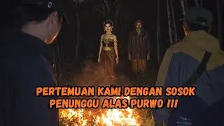 🔴KAMI MERASAKAN GERBANG MENUJU DUNIA GHAIB DIUJUNG TIMUR JAWA‼️ALAS PURWO 