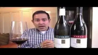 Wines of Turkey
