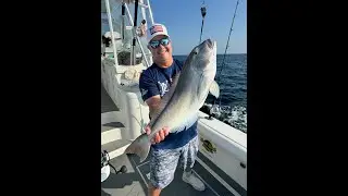 Scott's BIGGEST Blueline Tilefish Ever, a BOAT LIMIT & Lots of MAHI- MobSquad Sportfishing! Fun! 🤩