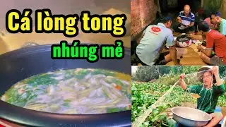 Soi Bắt Cá Lòng Tong Đầy Lưới | Nấu Nhúng Mẻ Ăn Cùng Gia Đình Miền Tây
