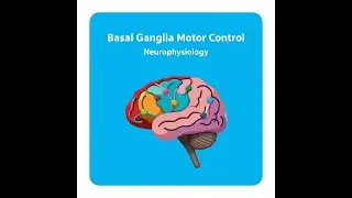 BASAL NUCLEI MOTOR CONTROL | PHYSIOLOGY NERVOUS SYSTEM | CLINICAL MEDICINE | LECTURE