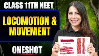 Locomotion & Movement in ONE SHOT | All Concept & PYQ | Basic to Advance | Class 11 NEET