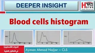 المحاضرة رقم (2) ، Blood cells histogram / د. أيمن النجار