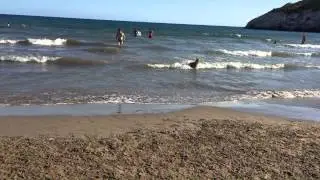 Playa para perros en Vallcarca (Sitges)